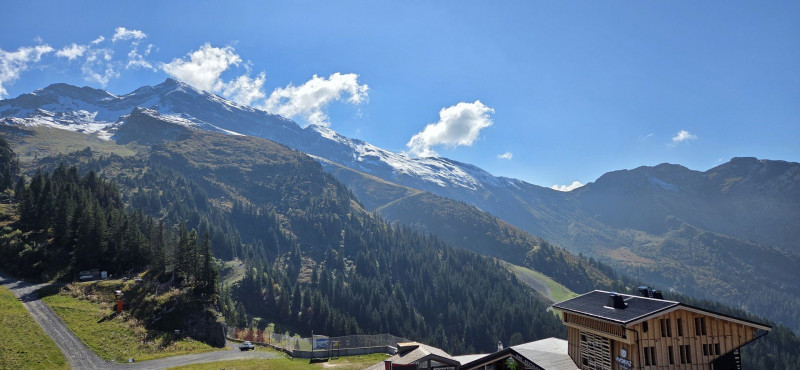 _lv_images__lot_0050310027_15_9479262 _lv_images__lot_0050310027_15_9479262