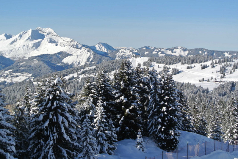 _lv_images__lot_0050420303_13_10179207 _lv_images__lot_0050420303_13_10179207