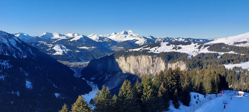 _lv_images__lot_0050420902_11_11021587 _lv_images__lot_0050420902_11_11021587