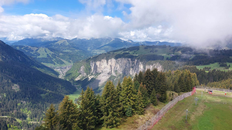 _lv_images__lot_0050420902_16_9664139