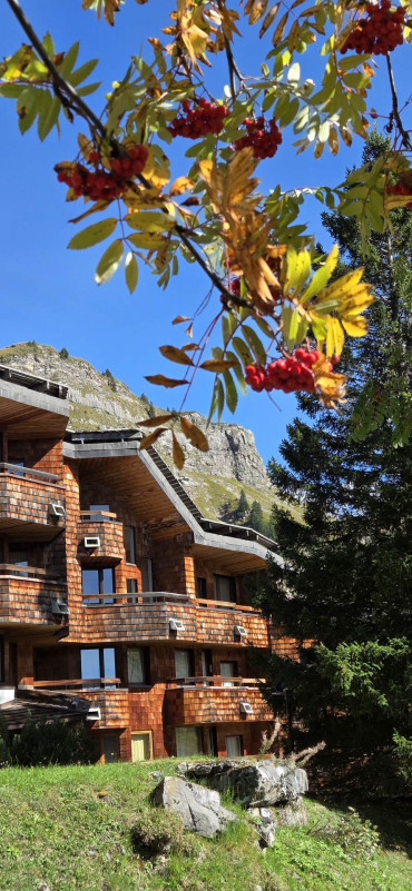 _lv_images__lot_0050450023_11_9321224 _lv_images__lot_0050450023_11_9321224