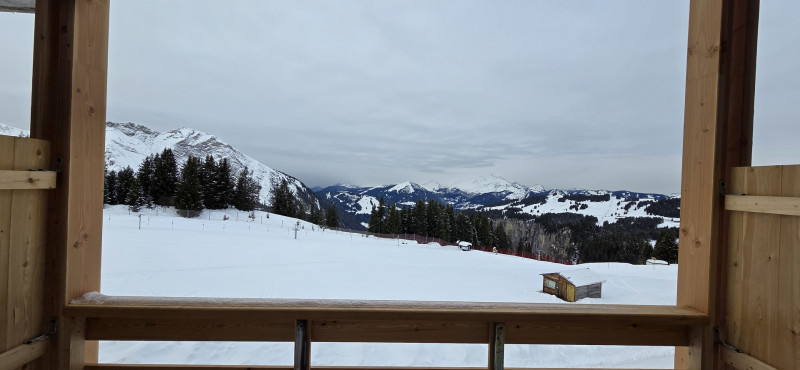 _lv_images__lot_0050450040_13_9876749