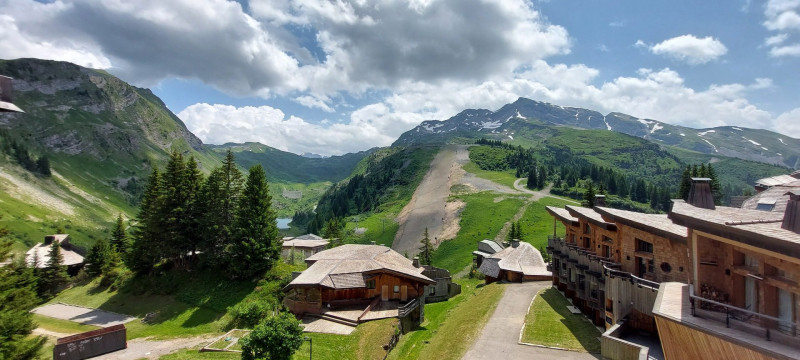 _lv_images__lot_0050450043_16_10131955 _lv_images__lot_0050450043_16_10131955