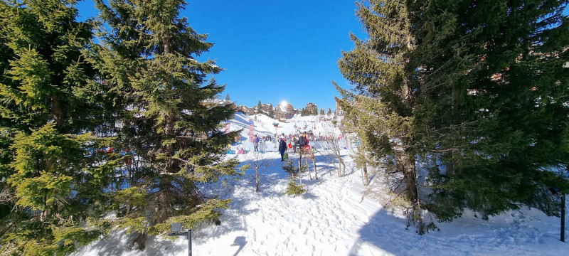 _lv_images__lot_0050450049_07_9683952