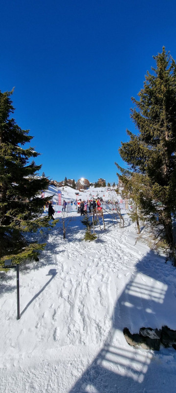 _lv_images__lot_0050450049_08_9479798 _lv_images__lot_0050450049_08_9479798