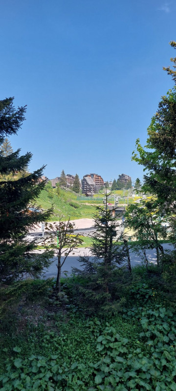 _lv_images__lot_0050450049_15_10420415