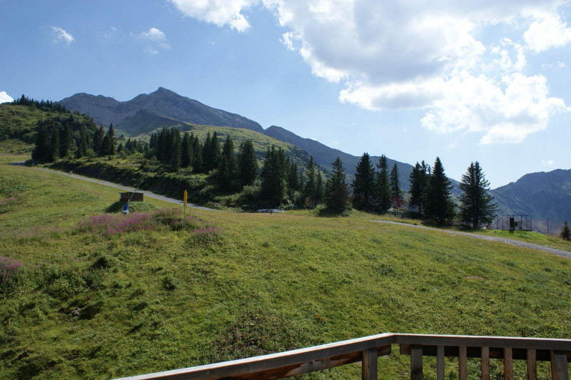 _lv_images__lot_0050450055_11_10520422