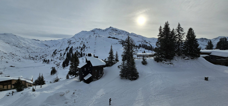 _lv_images__lot_0050450070_11_8413426