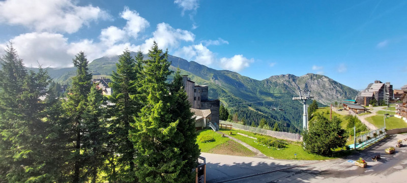 _lv_images__lot_0050450077_16_10016400