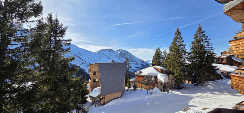 _lv_images__lot_0050450084_15_9896231 _lv_images__lot_0050450084_15_9896231