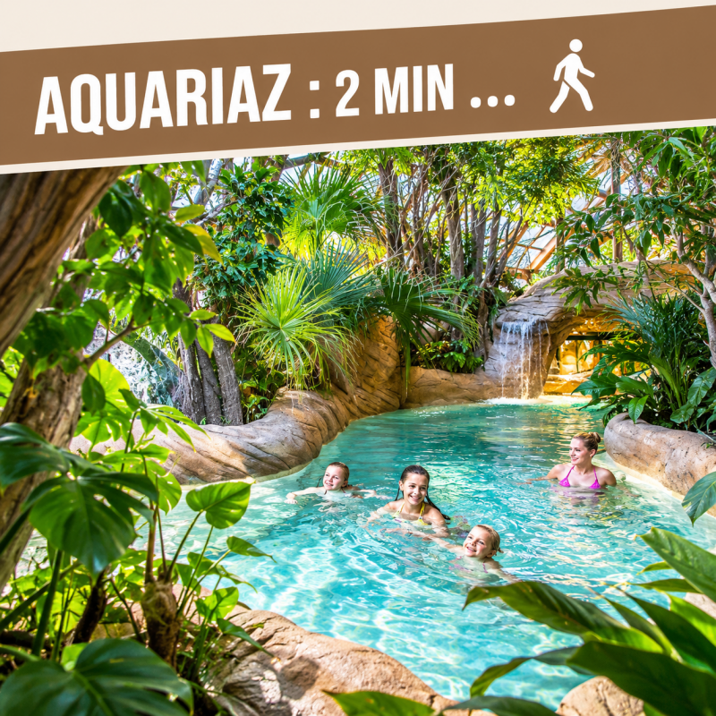 aquariaz-11453957 aquariaz-11453957