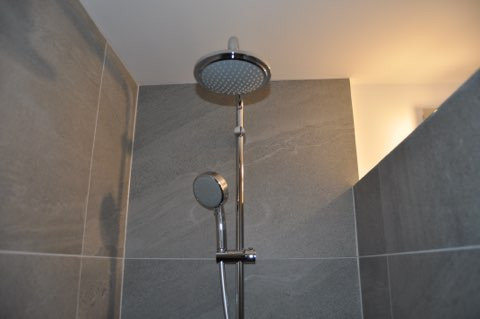 Shower room with toilet