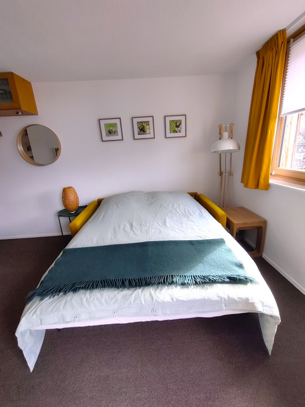 Séjour + Canapé convertible 